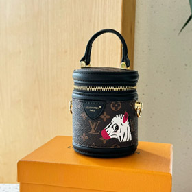 Louis Vuitton LV Mini Fortune Bucket Crossbody Bag-4069  